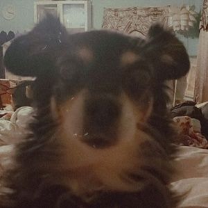 Meet your Posher, Adahe